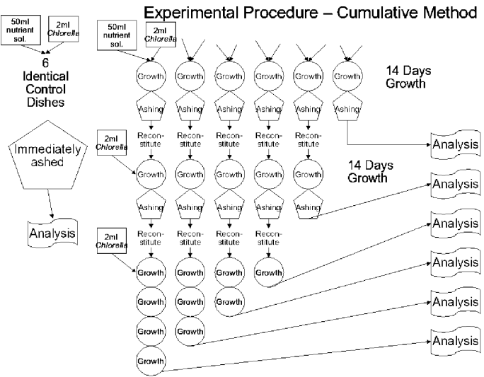 Figure 2: Diagram of experimental procedure.