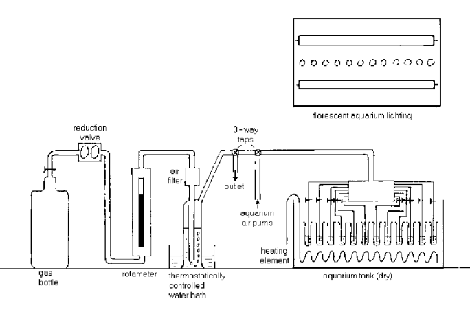 Figure 7: Diagram of experimental procedure.